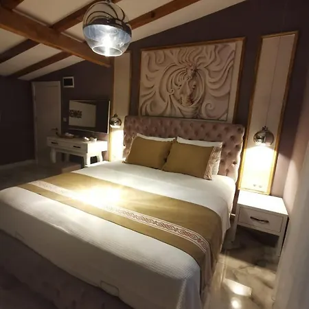 酒店 Viya Çeşme