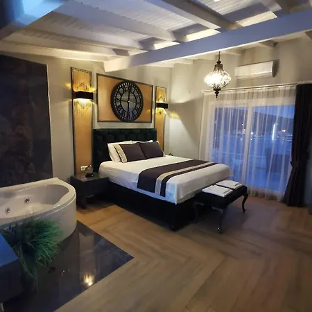 Hotel Viya