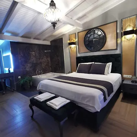 Hotel Viya